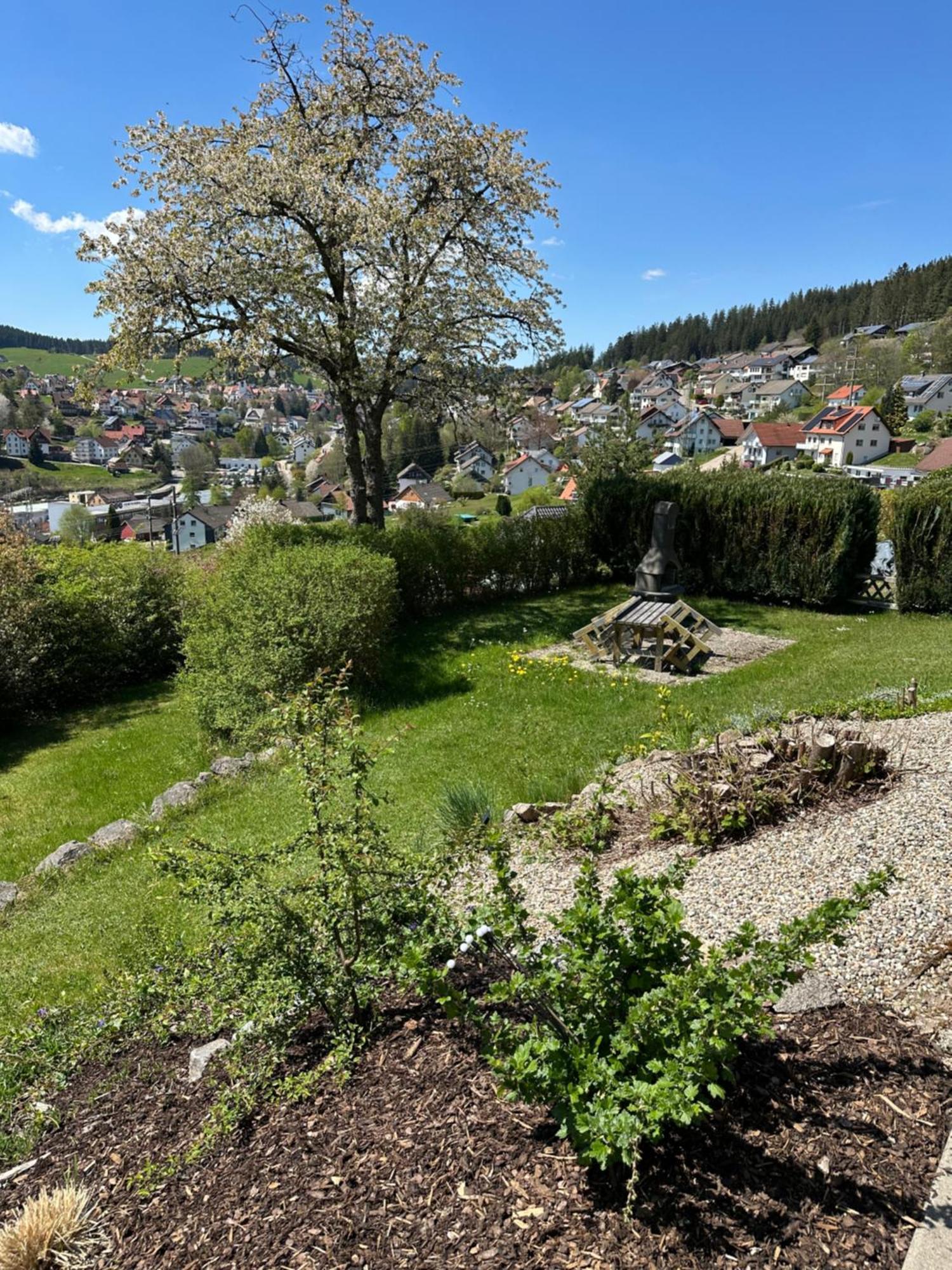 Sonneck Schonach Apartment Schonach im Schwarzwald Ngoại thất bức ảnh